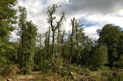 immagini telefono 005